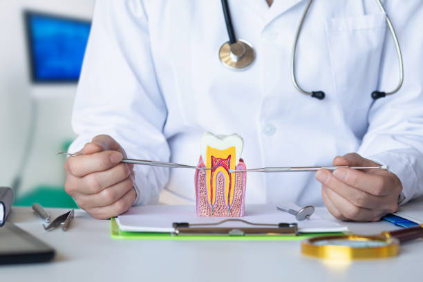 Best Emergency Orthodontic Repairs in Kingsport, TN